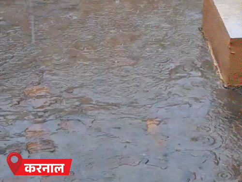 हरियाणा के 5 जिलों में बारिश:5 जगह ओले गिरने का अलर्ट, शीतलहर चल रही; हिसार में 35 साल का रिकॉर्ड टूटा