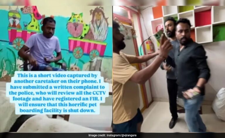 Video: Animal Activist Assaults Mumbai Dog Sitter For Beating German Shepherd