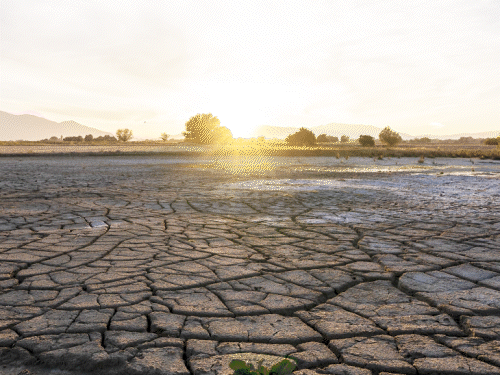 2024 अब तक का सबसे गर्म साल रहा:जलवायु परिवर्तन के कारण 41 दिन गर्मी के बढ़ गए, 3700 से ज्यादा लोगों की मौत हुई