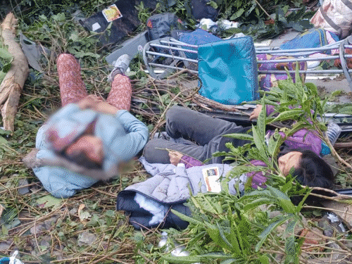 नैनीताल में 100 मीटर गहरी खाई में गिरी बस:एक बच्चे समेत 4 की मौत, 21 घायल; कार को बचाने में हुआ हादसा