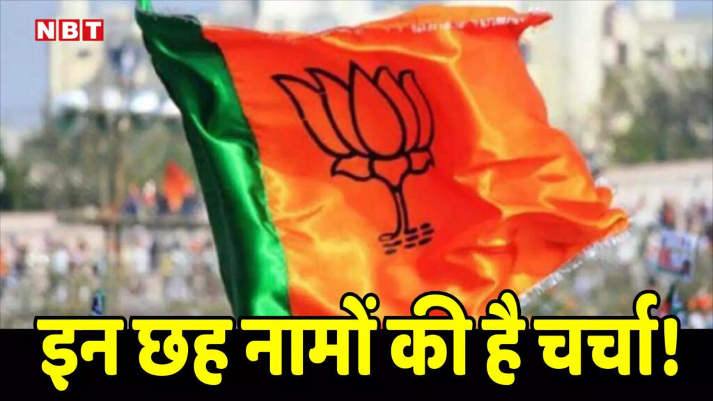 एमपी में बीजेपी का अगला प्रदेश अध्यक्ष कौन होगा? तीन पूर्व मंत्री, दो विधायक और एक सांसद के नाम की चर्चा