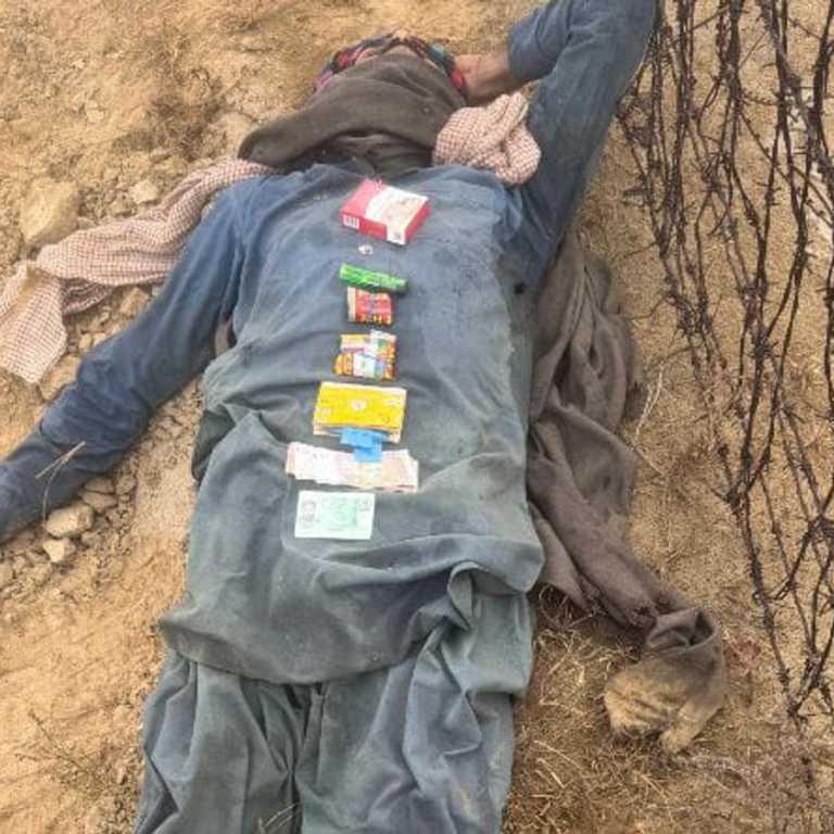 राजस्थान में पाकिस्तानी घुसपैठिया ढेर:बीएसएफ ने बॉर्डर पर मारी गोली, पाकिस्तान ने शव लेने से किया इनकार