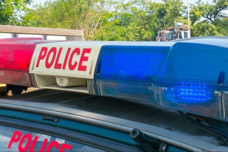 Rajasthan Man Stops Car, Jumps Into Canal After Fight With Wife, Dies: Cops