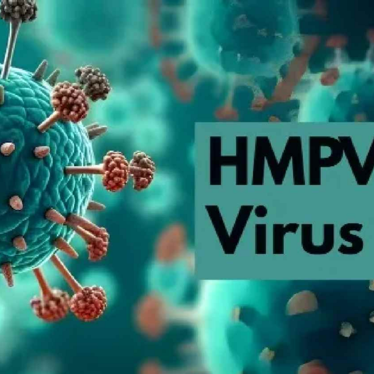 गुजरात में HMPV वायरस का एक और मामला:अहमदाबाद में 4 साल के बच्चे की रिपोर्ट आई पॉजीटिव, राज्य में अब तक 6 केस