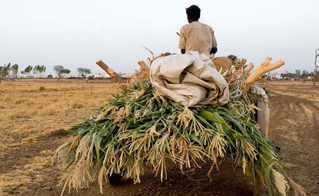 Bihar Officials Stunned As Mobile App Shows Farms In Indian Ocean After Glitch