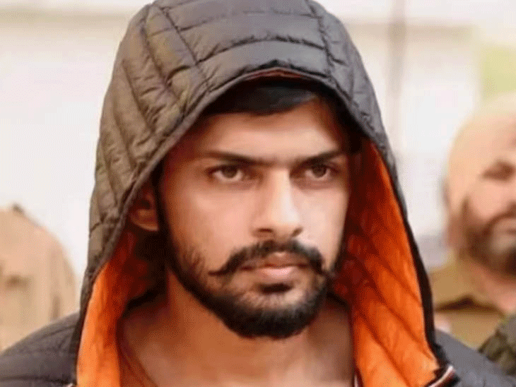 गैंगस्टर लॉरेंस इंटरव्यू केस की HC में सुनवाई:बर्खास्त डीएसपी ने गैंगस्टरों का बताया खतरा; SIT के लिए मांगे अधिकारियों के नाम
