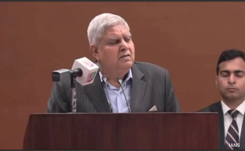 "Illegal Migrants Threat To Democracy, Harmony, Security": Vice President