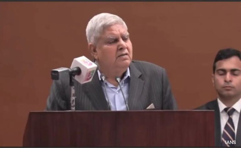 "Illegal Migrants Threat To Democracy, Harmony, Security": Vice President
