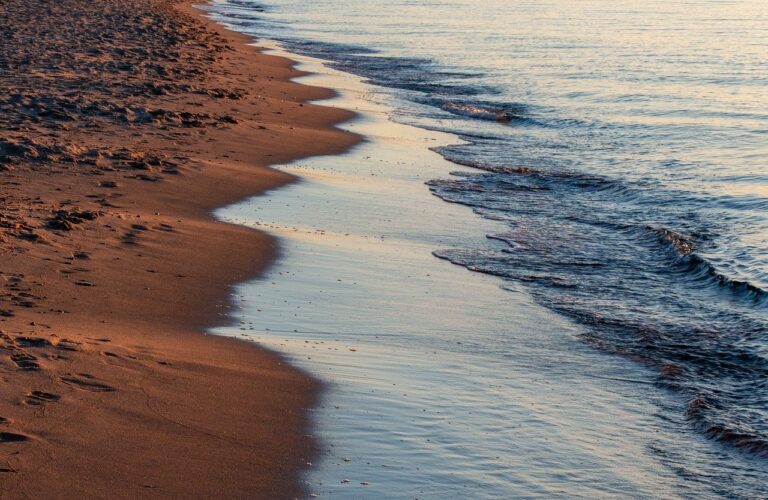 Argument Over Chair Arrangement At Goa Beach Leads To Murder, 1 Arrested