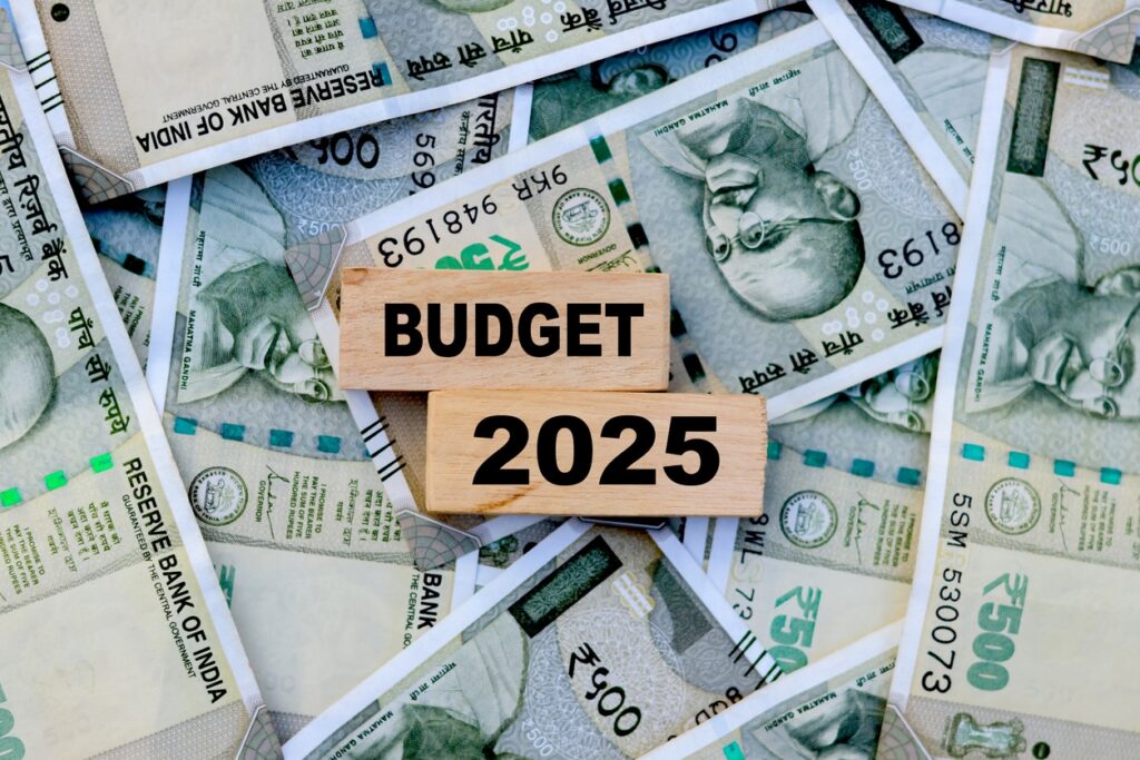 Budget 2025: What Changes Do Economists Suggest For Salaried Taxpayers