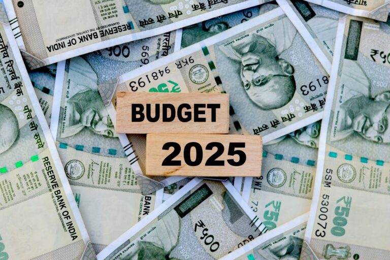 Budget 2025: What Changes Do Economists Suggest For Salaried Taxpayers