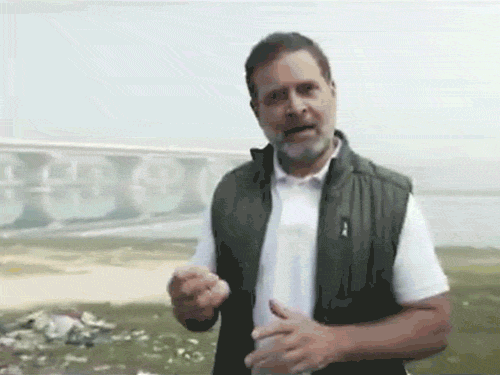 दिल्ली विधानसभा चुनाव अपडेट्स:यमुना किनारे पहुंचे राहुल गांधी, पूछा- केजरीवाल जी 2025 आ गया, डुबकी कब लगाएंगे