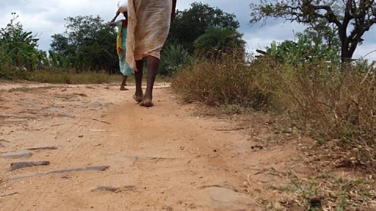 No Jobs, Healthcare Force Chhattisgarh Tribals To Leave, Some Never Return