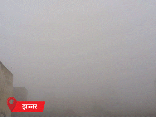 हरियाणा में छाया घना कोहरा:विजिबिलिटी 10 से 20 मीटर; शिमला-मनाली से भी ठंडे शहर; 2 दिन बाद 48 घंटे तक बारिश होगी