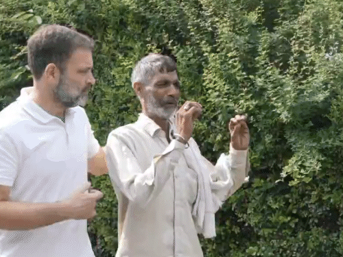 राहुल गांधी का व्हाइट टी-शर्ट मूवमेंट शुरू:गरीबों के लिए न्याय की आवाज उठाएंगे; कहा- मोदी सरकार की गलत नीतियों से गरीब परेशान