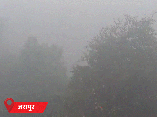 17 राज्यों में कोहरा, UP में ट्रेनें-फ्लाइट लेट:हरियाणा में विजिबिलिटी 5 मीटर, हिमाचल में पारा माइनस 9º, MP में 4.6º पहुंचा