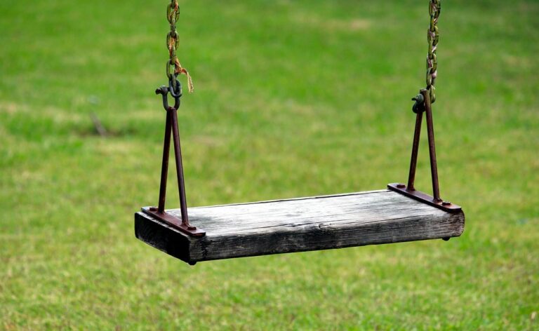 Boy Dies After Falling Off Swing In Odisha School, Parents Allege Negligence