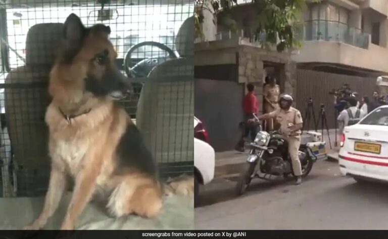 Sniffer Dogs At Saif Ali Khan's Home, 7 Police Teams Searching For Attacker
