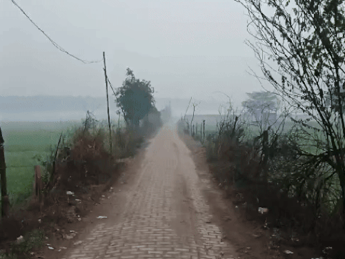 हरियाणा के 4 जिलों में बूंदाबांदी:सुबह 2 जगह धुंध दिखी; अधिकतर शहरों का न्यूनतम तापमान 7 से 10 डिग्री के बीच