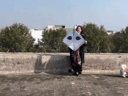 नवजोत सिद्धू ने पतंग उड़ाकर मनाई लोहड़ी:पत्नी नवजोत कौर ने भी दिया साथ; बधाई संदेश में बोले- हैप्पी लोहड़ी, हैप्पी मकर संक्रांति