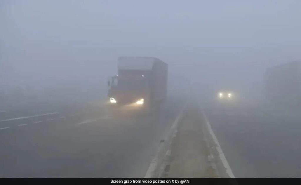 Unsure How To Drive Safely In Fog? Here Are Our 5 Tips