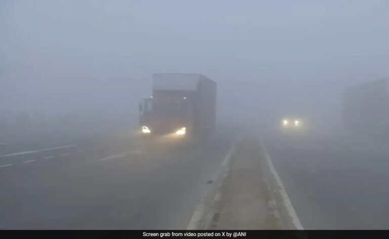 Unsure How To Drive Safely In Fog? Here Are Our 5 Tips