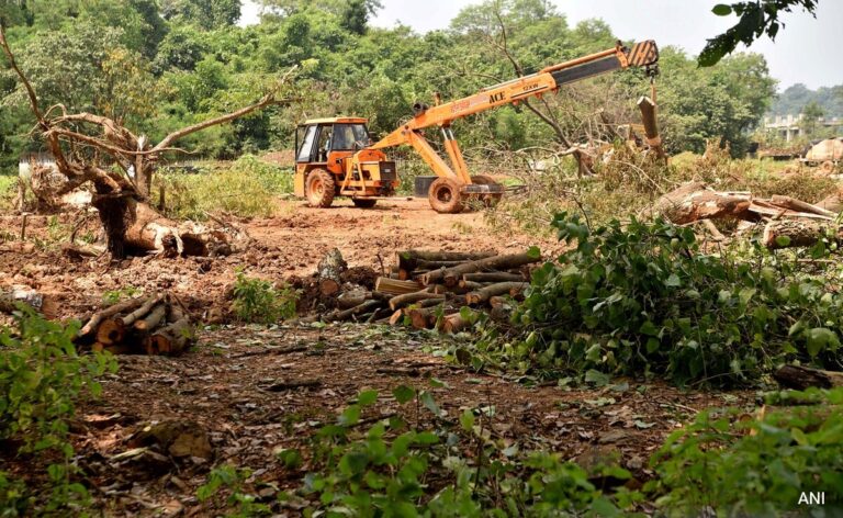 Supreme Court Says No Tree Felling In Mumbai's Aarey Without Its Permission