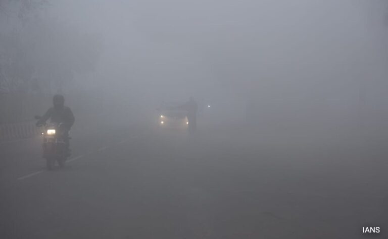 Yellow Alert For 14 Rajasthan Districts, Rainfall Predicted Next Week