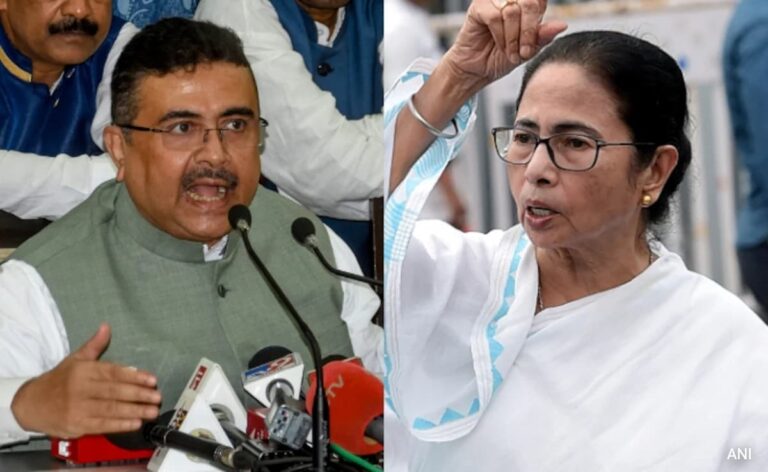 "Insulting Words": Suvendu Adhikari On Mamata Banerjee's Remark On BSF