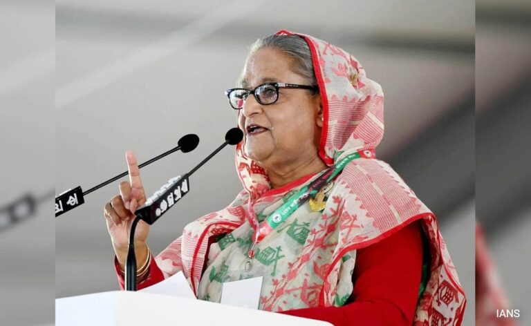 Sheikh Hasina's Extradition Unrelated To Indian Visa Extension: Bangladesh