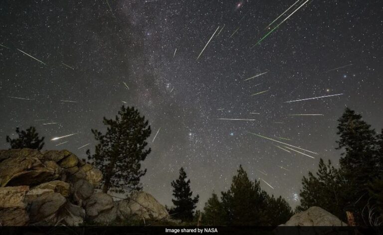 Quadrantid Meteor Shower Peaks On Jan 3 And 4: When, Where To Watch In India