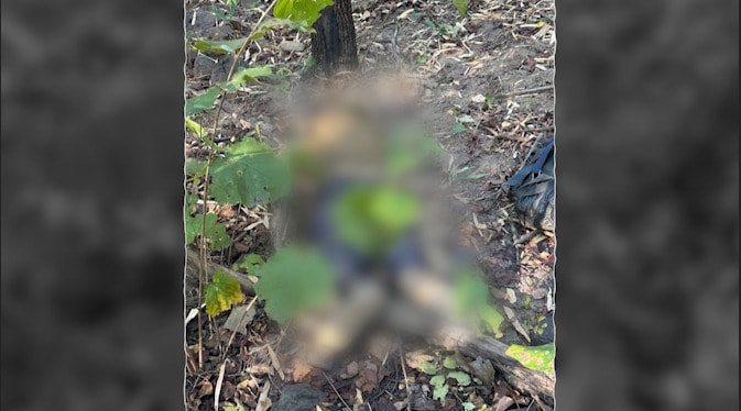 Maoist Carrying Rs 1 Crore Bounty Among 14 Killed In Chhattisgarh Encounter