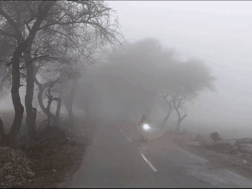 हरियाणा के 14 जिलों में बारिश का अलर्ट:तेज हवाएं चलेंगी; 15 फरवरी तक ठंड बढ़ने की संभावना, जींद सबसे ठंडा रहा