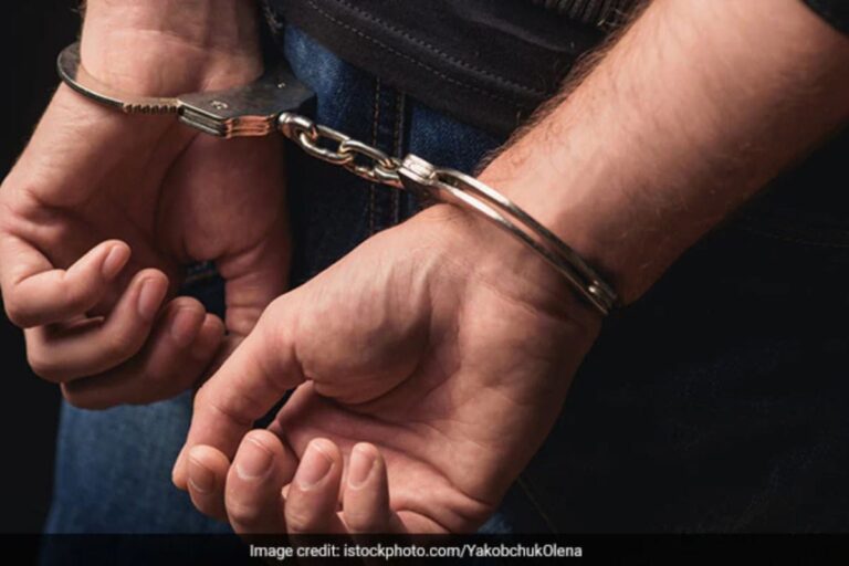 Truck Driver Hits BJP Leader's SUV, Runs Into Cars In Madhya Pradesh: Cops