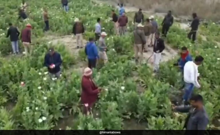 After Himanta Sarma Spoils "Udta Assam Party", Manipur's Biren Singh Says...