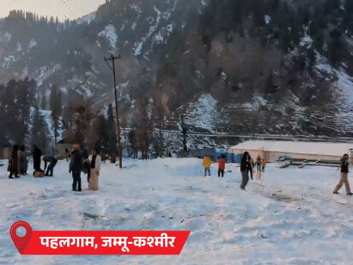 2025 की जनवरी इतिहास में तीसरी सबसे गर्म:20 दिन बाद गर्मी शुरू होगी; बसंत महीना छोटा हुआ, पहाड़ों में बर्फबारी 80% तक कम