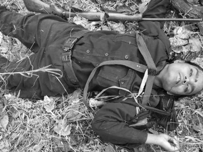 एमपी में मुठभेड़ में 4 महिला नक्सली ढेर:बालाघाट में चारों शव बरामद, कुछ घायल जंगल में छिपे; इलाके में सर्च ऑपरेशन