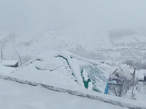 हिमाचल में हैवी स्नोफॉल, लाहौल-पांगी में स्कूल बंद:कई क्षेत्रों का देश-दुनिया से कटा संपर्क, शिमला-कुल्लू में भारी बारिश; कल भी ऑरेंज-अलर्ट