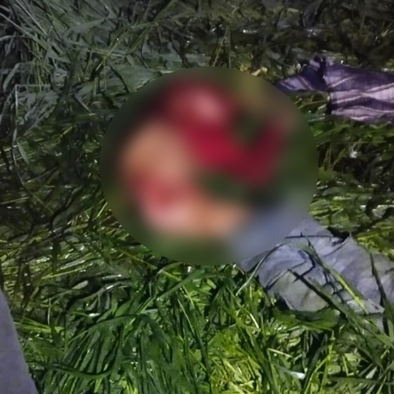 कुत्तों ने नोंच-नोंचकर मार डाला बच्चा:करनाल में कटी पतंग ढूंढने खेत में गया था, परिजन पहुंचे तो कुत्ते सिर-टांग खा रहे थे