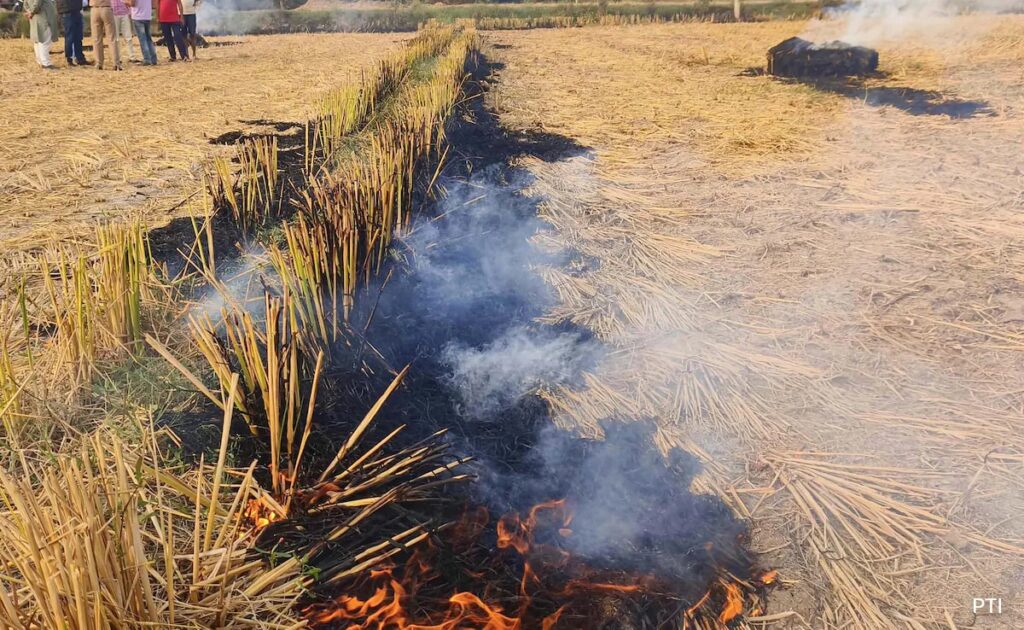 "Can't Blame Only One State...": Top Court's Farm Fires Reprieve For Punjab