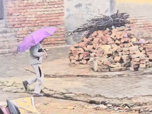 हरियाणा के 5 जिलों में बारिश:पानीपत-सोनीपत समेत 6 जिलों में सुबह से बूंदाबांदी जारी, बादल छाए; करनाल ठंडा तो फरीदाबाद गर्म रहा