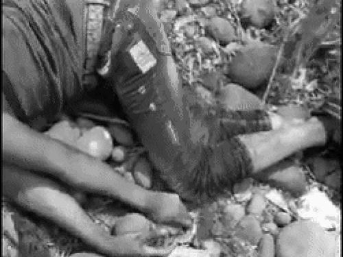 डंकी रूट पर हरियाणा के युवक की लाश का VIDEO:परिवार बोला- डोंकरों ने गोली मारी; ग्वाटेमाला में अमेरिकी बॉर्डर के करीब पहुंच गया था