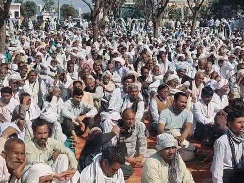 मीणा-समाज में गोद-भराई की रस्म बंद, बर्थडे सेलिब्रेशन पर पाबंदी:नहीं माना तो 1 लाख का जुर्माना; महापंचायत का निर्णय- पंच-पटेल सुनाएंगे सजा