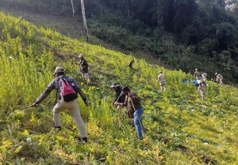 Meitei Body Asks Centre To Set Up Specialised Anti-Narcoterrorist Force