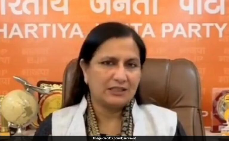 "AAP Had No Vision": BJP MP Says Delhi Election Result 'Not Surprising'