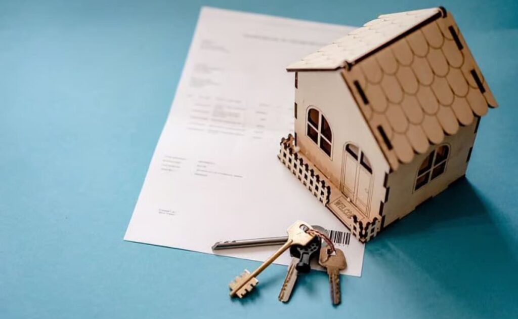 RBI Cuts Repo Rate For 1st Time In 5 Years: How It Affects Loan EMIs