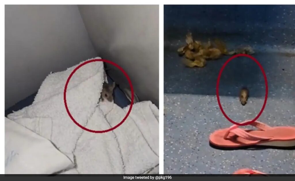 Man Shares Video Of Rats Crawling In Train's AC Coach, Railways Reacts