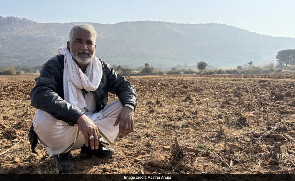 Depleting Soil Health: The Price of Growing Water-Guzzling Crops