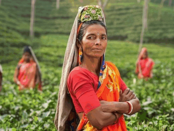 भारत में ऊंचे पदों पर केवल 19% महिलाएं कार्यरत:नौकरी में स्थिरता के लिए लम्बा संघर्ष करती है, शिक्षा में कमी और असमानता बड़ी चुनौतियां