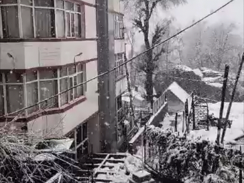 हिमाचल के ऊंचे पहाड़ों पर बर्फबारी शुरू:मनाली में बर्फ देख झूमे टूरिस्ट, शिमला में भी फाहे गिरे, लाहौल-पांगी में बोर्ड परीक्षाएं स्थगित